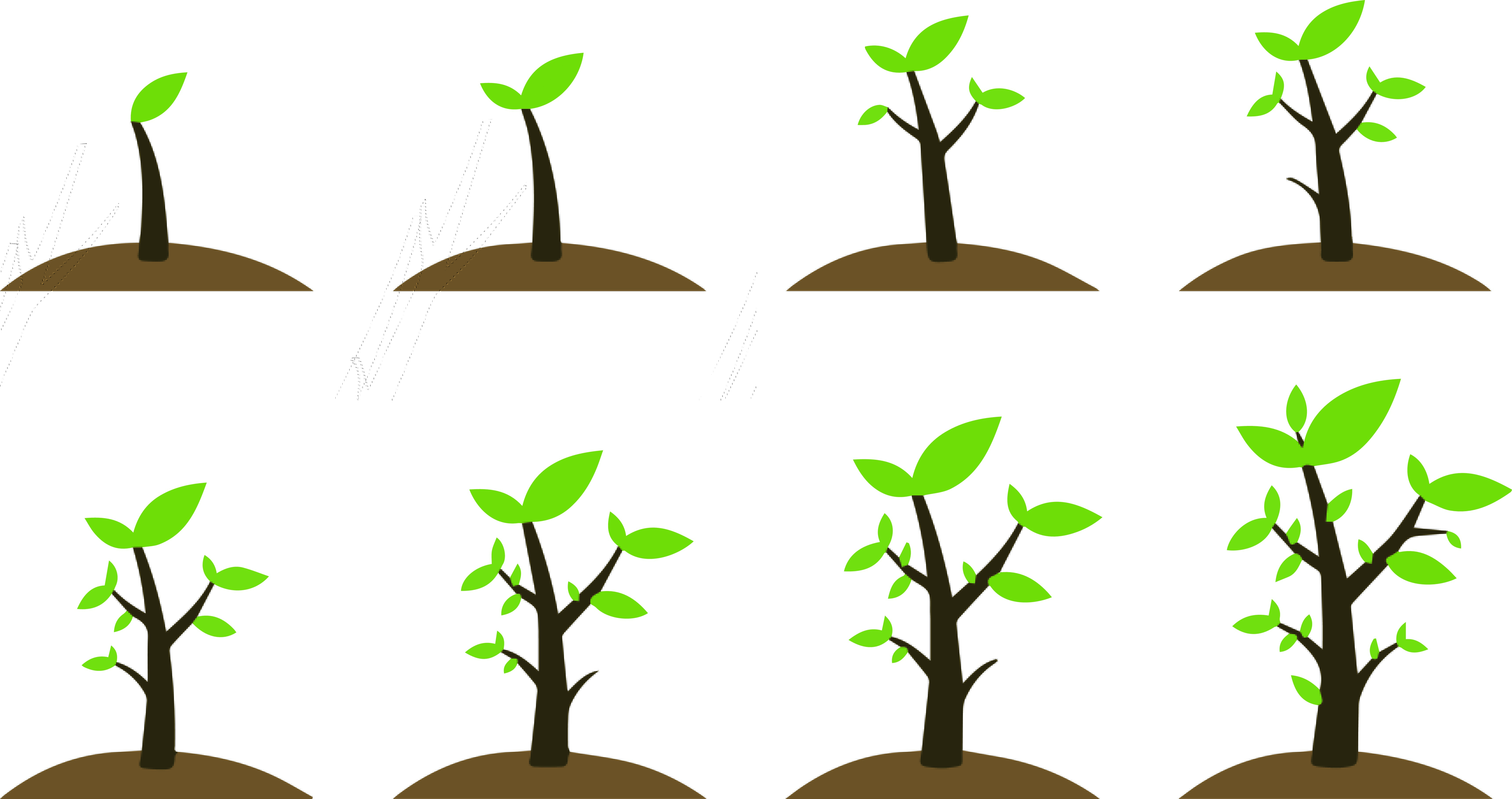 Plant Vector Free at Collection of Plant Vector Free