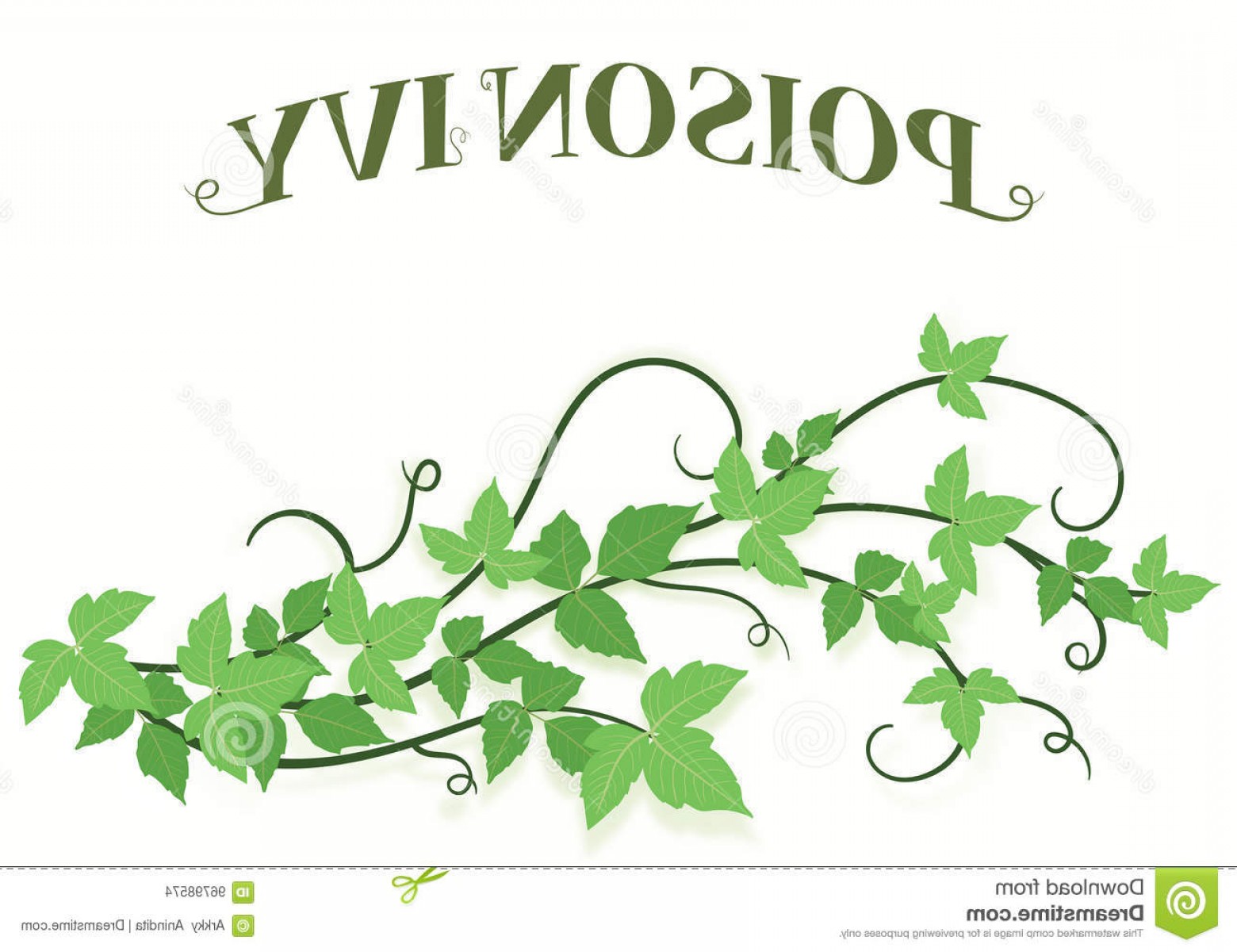 Poison Ivy Vector at Collection of Poison Ivy Vector