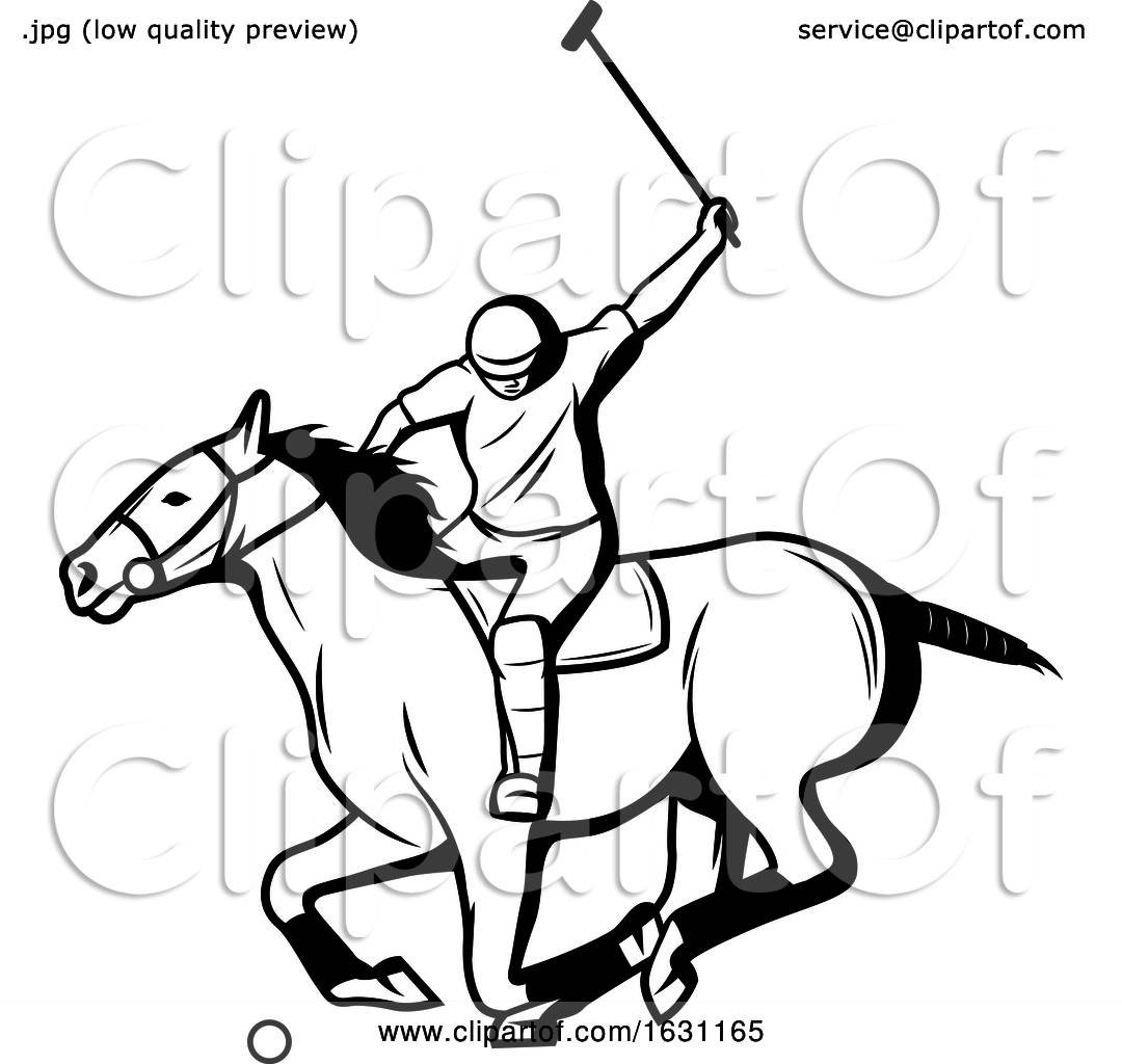 Polo Template Vector at Collection of Polo Template