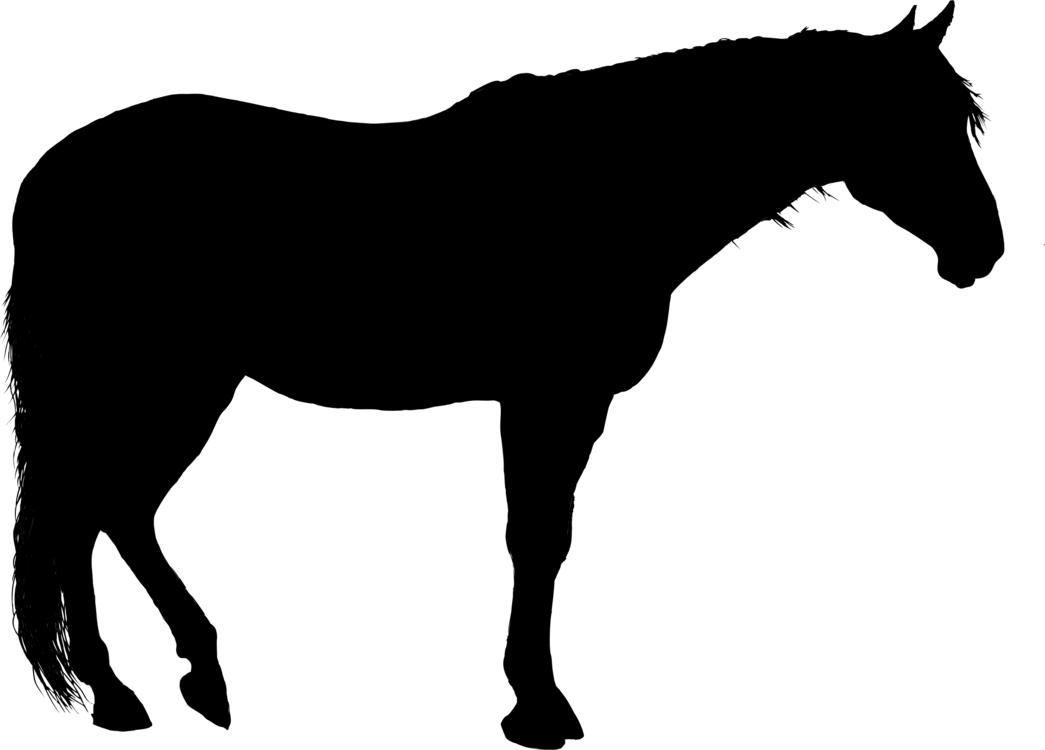 Quarter Horse Vector at Collection of Quarter Horse