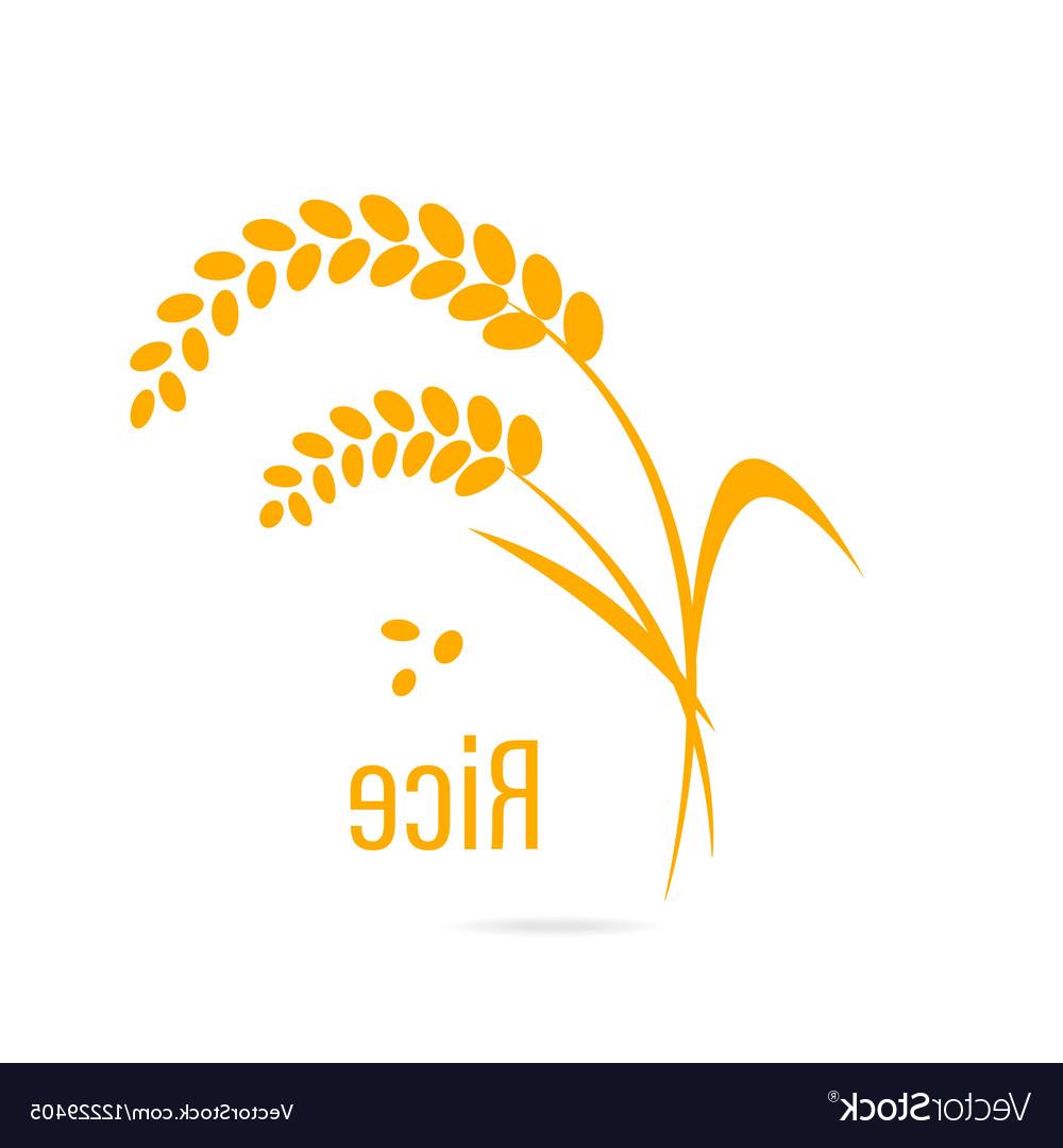 Rice Logo Vector at Collection of Rice Logo Vector