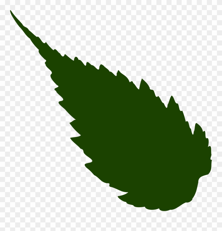 Rose Leaf Vector at Collection of Rose Leaf Vector