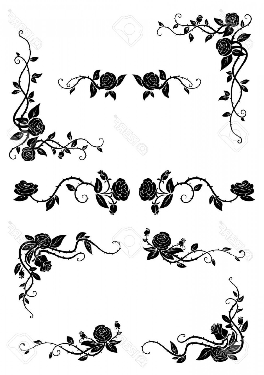 Rose Vine Vector at Collection of Rose Vine Vector