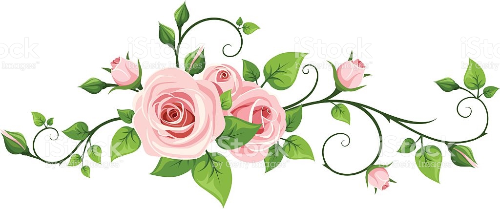Rose Vines Vector at Collection of Rose Vines Vector