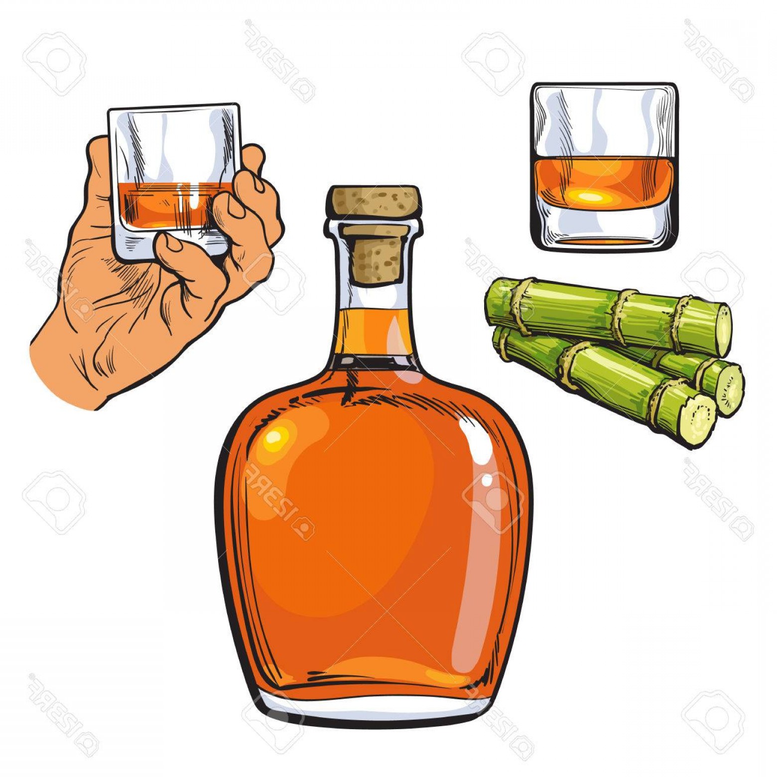 Rum Bottle Vector at Collection of Rum Bottle Vector