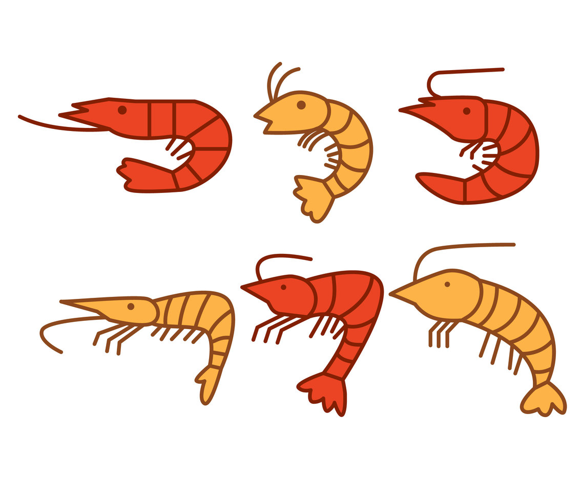Shrimp Cartoon Vector at Collection of Shrimp Cartoon Vector free for personal use