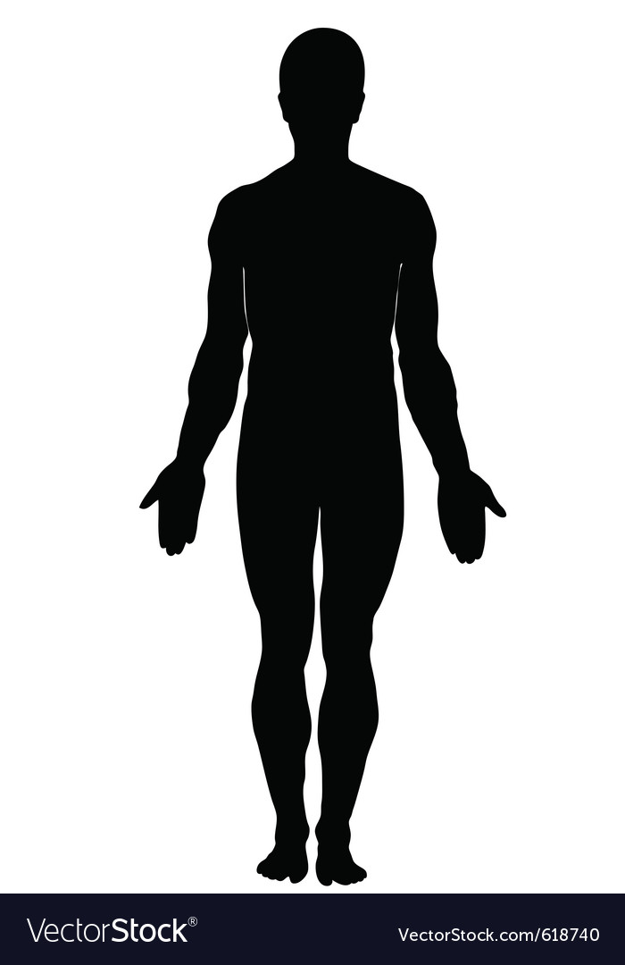 Simple Human Vector at Collection of Simple Human