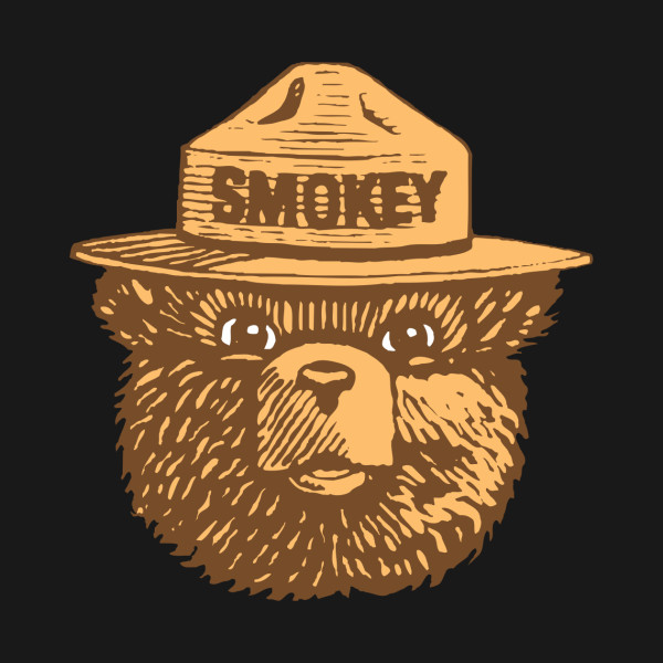 Smokey The Bear Vector at Collection of Smokey The