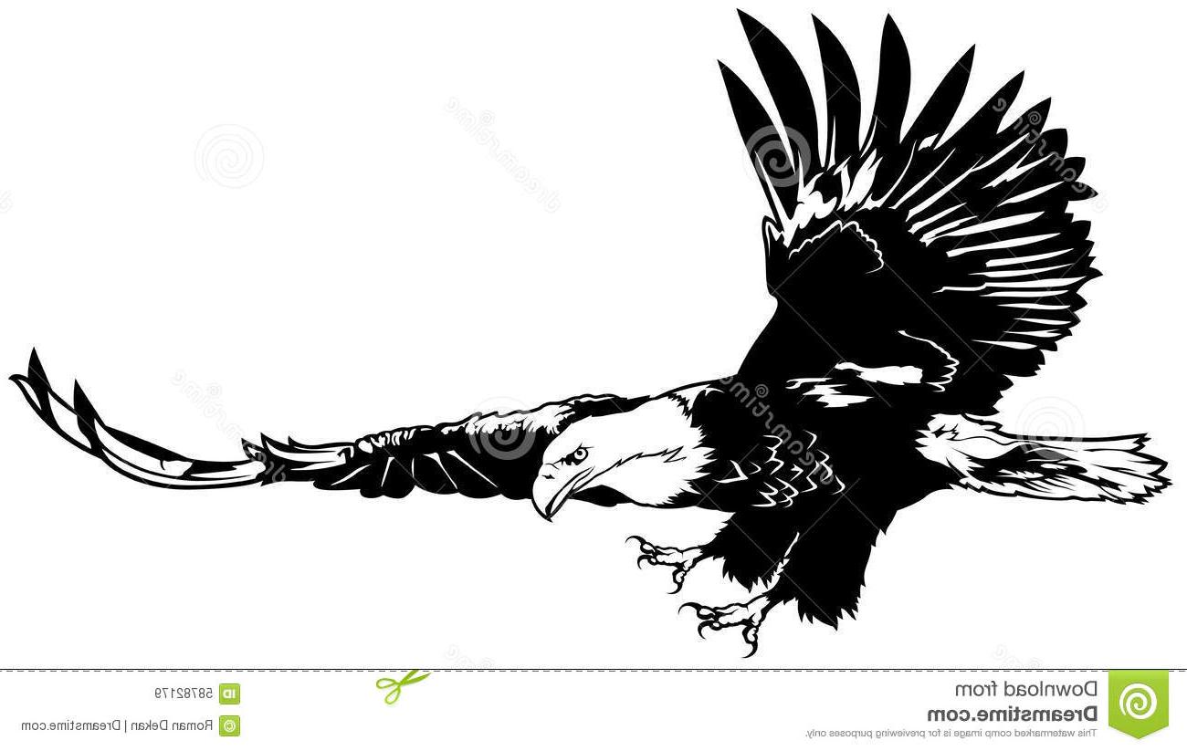 Soaring Eagle Vector at Collection of Soaring Eagle