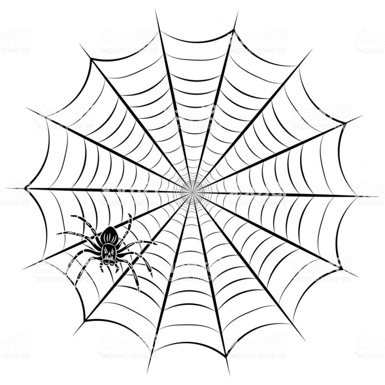 Spider Webs Vector at Collection of