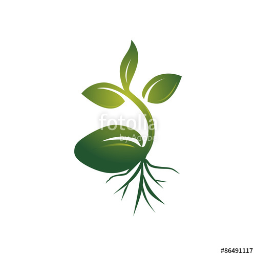 Sprouts Logo Vector at Collection of Sprouts Logo