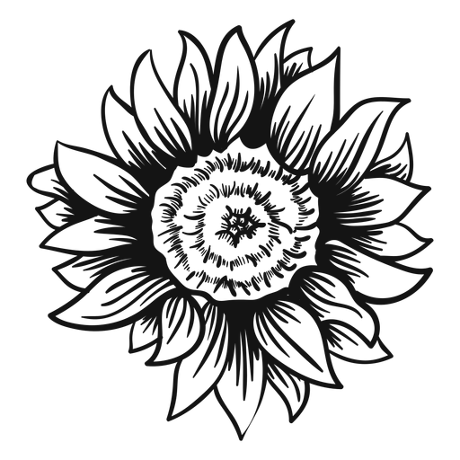 Sunflower Black And White Vector at Collection of Sunflower Black And White
