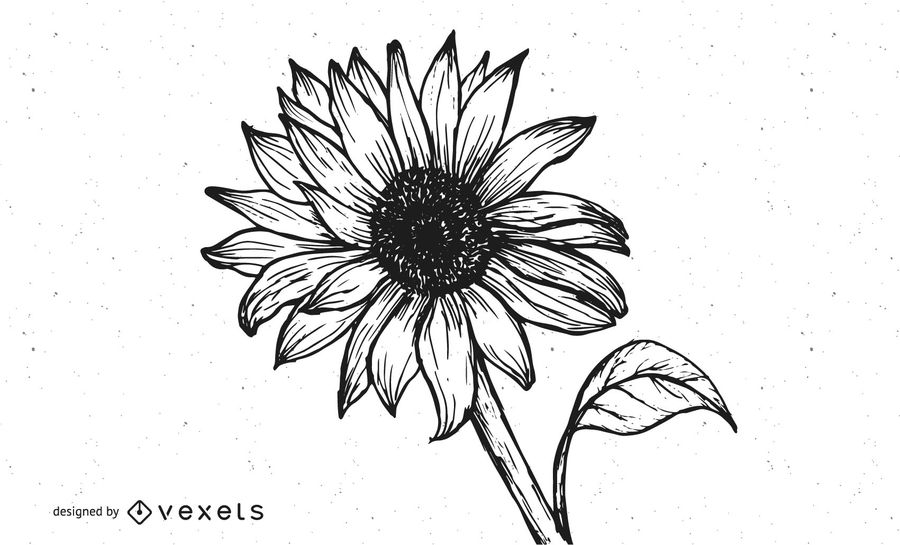 Sunflower Vector Black And White at Collection of Sunflower Vector Black And