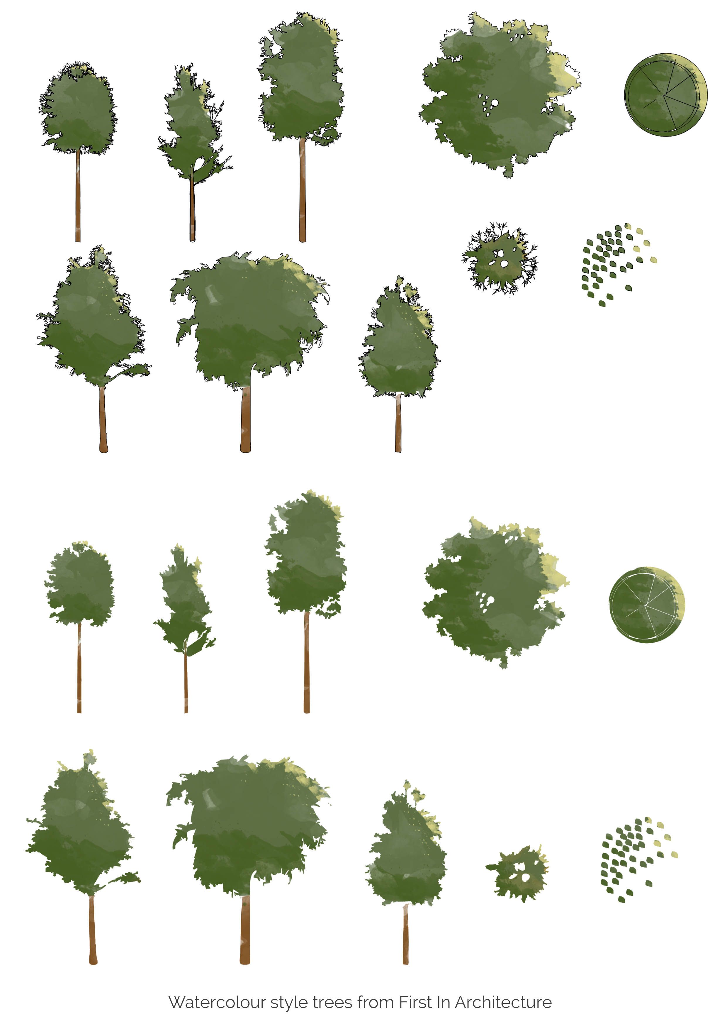 Tree Plan Vector Free Download at Collection of Tree