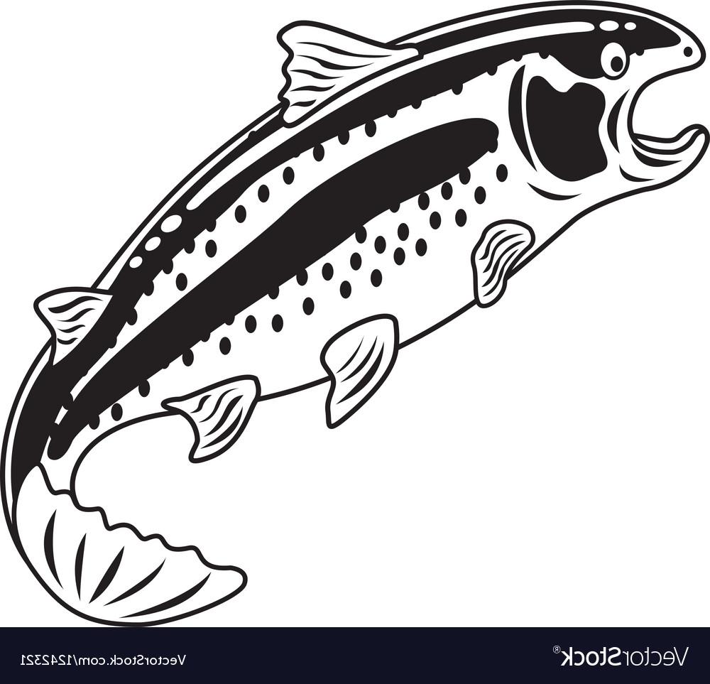 Rainbow Trout Vector at Collection of Rainbow Trout