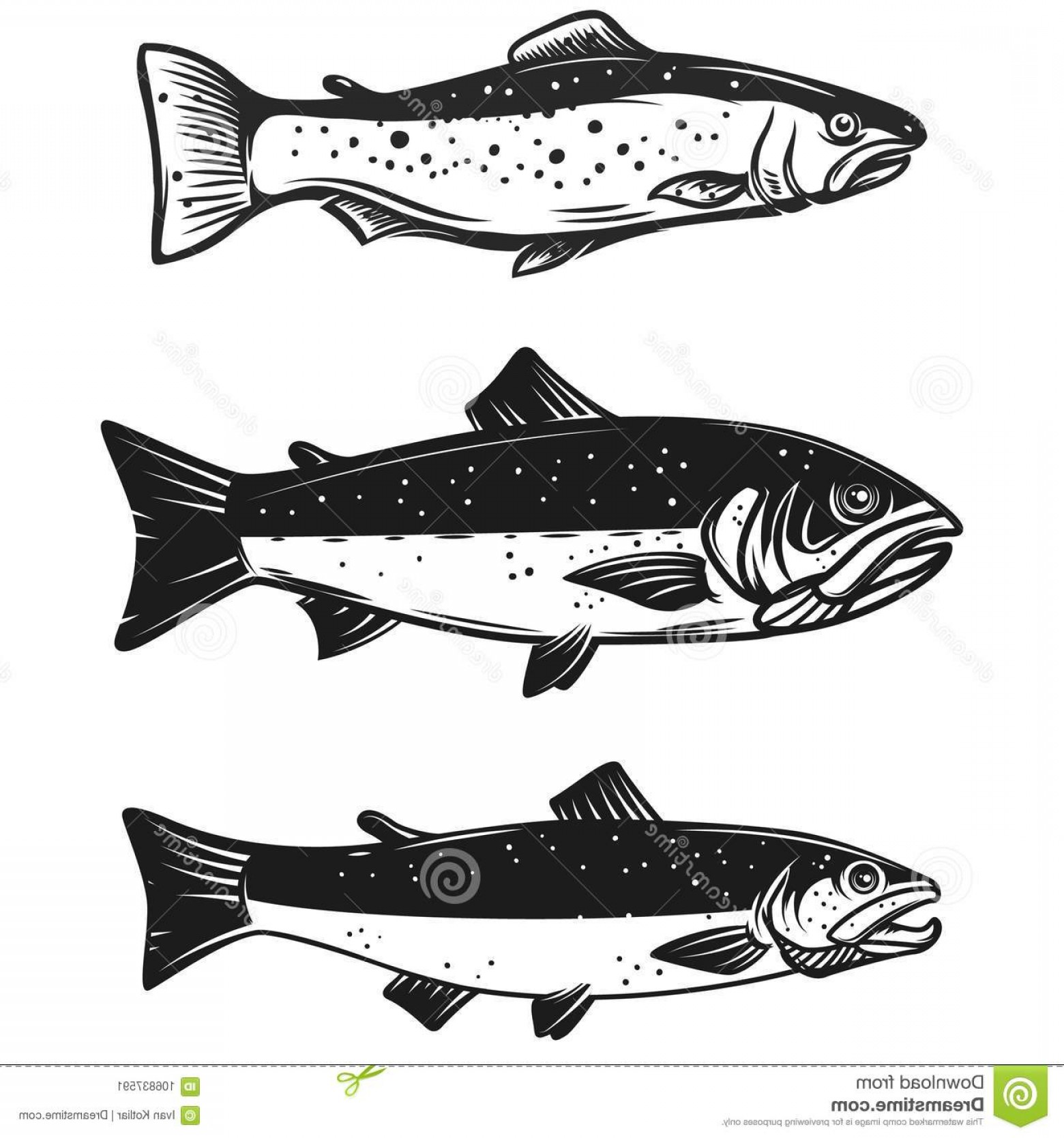 Trout Vector at Collection of Trout Vector free for