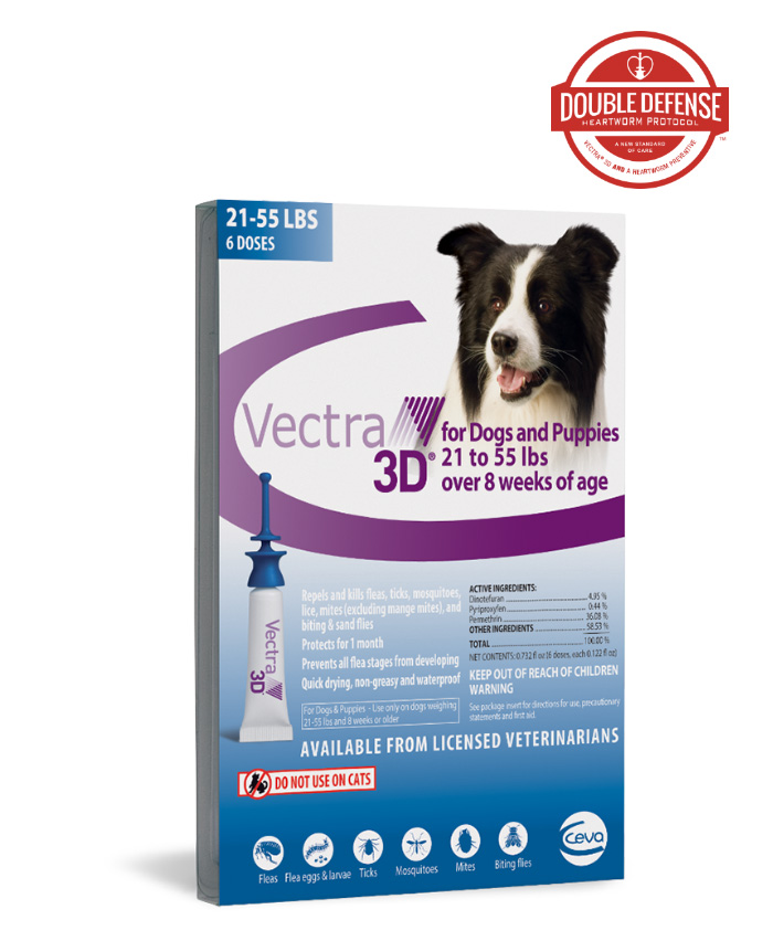 Vector Flea And Tick at Collection of Vector Flea And Tick free for personal use