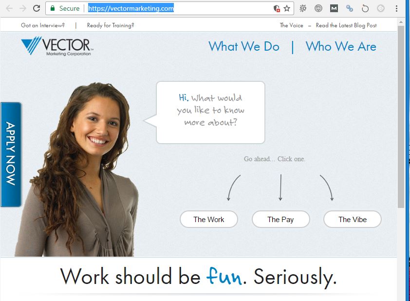 Vector Marketing Corporation at Collection of Vector