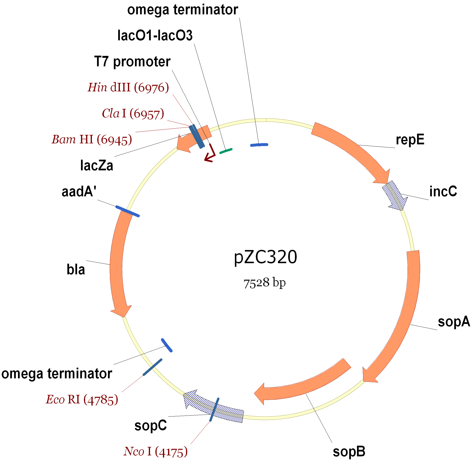 Vector Sequence at Collection of Vector Sequence free