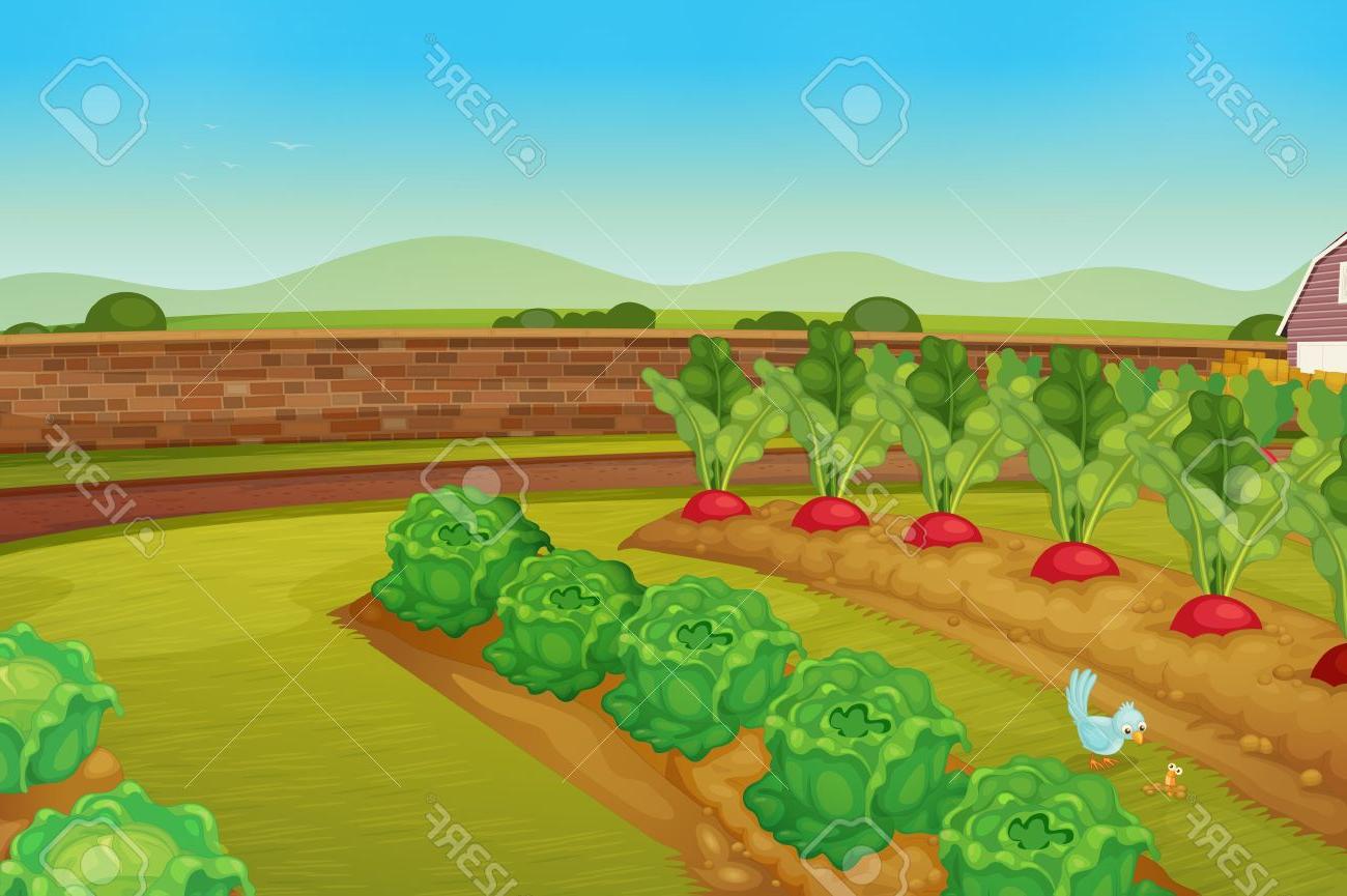 Vegetable Garden Vector at Collection of Vegetable
