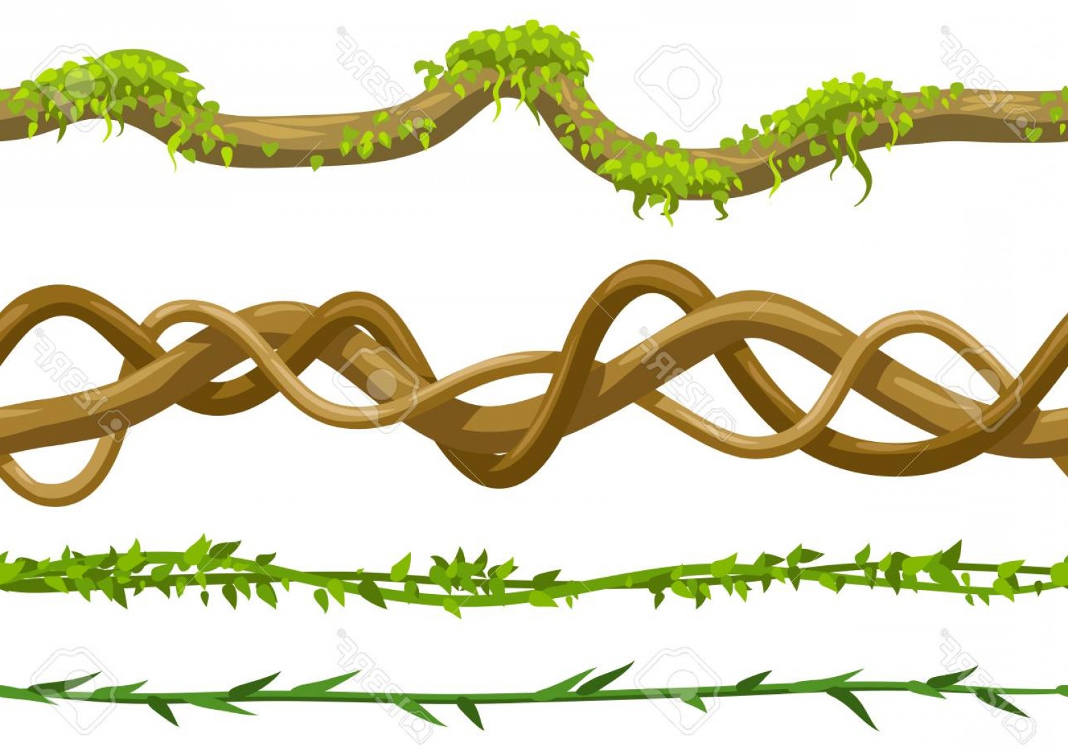 Vine Vector Art at Collection of Vine Vector Art free