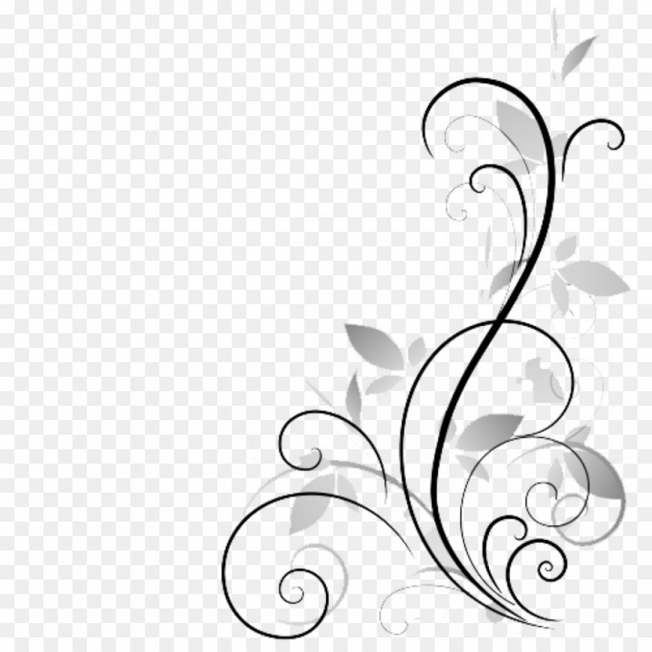 Vines Vector Png at Collection of Vines Vector Png