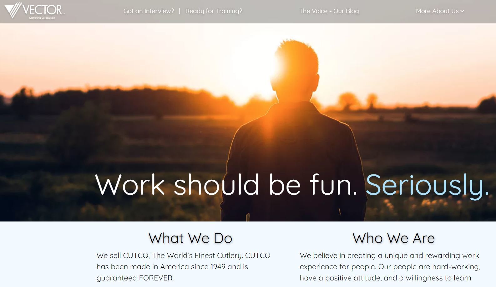 What Does Vector Marketing Sell at Collection of What