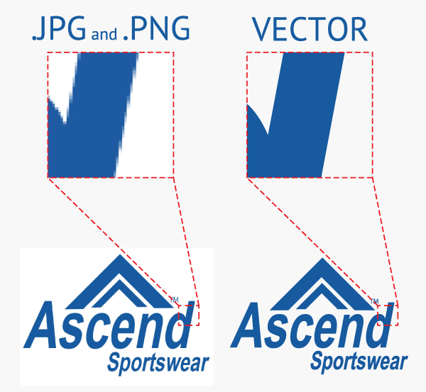 What Is A Vector at Collection of What Is A Vector