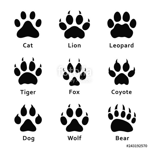 Wolf Paw Print Vector at Collection of Wolf Paw Print