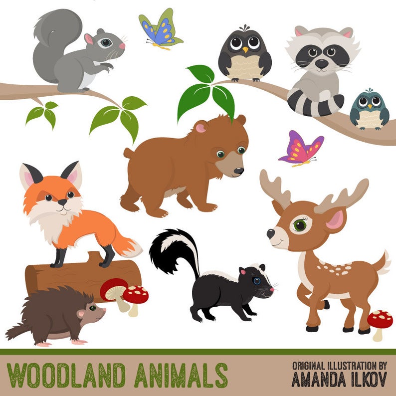 Woodland Animals Vector at Collection of Woodland