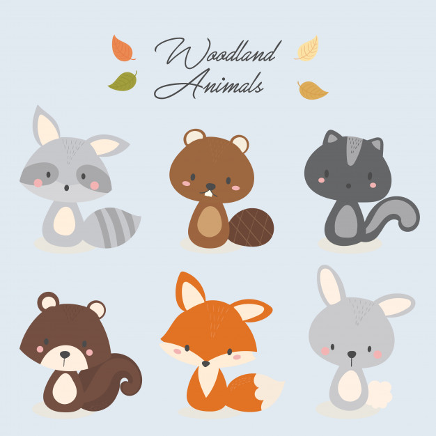 Woodland Animals Vector at Collection of Woodland