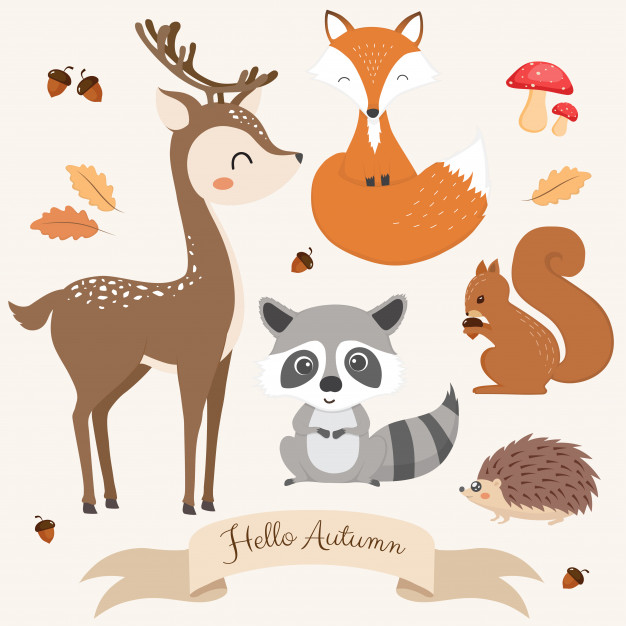 Woodland Animals Vector at Collection of Woodland
