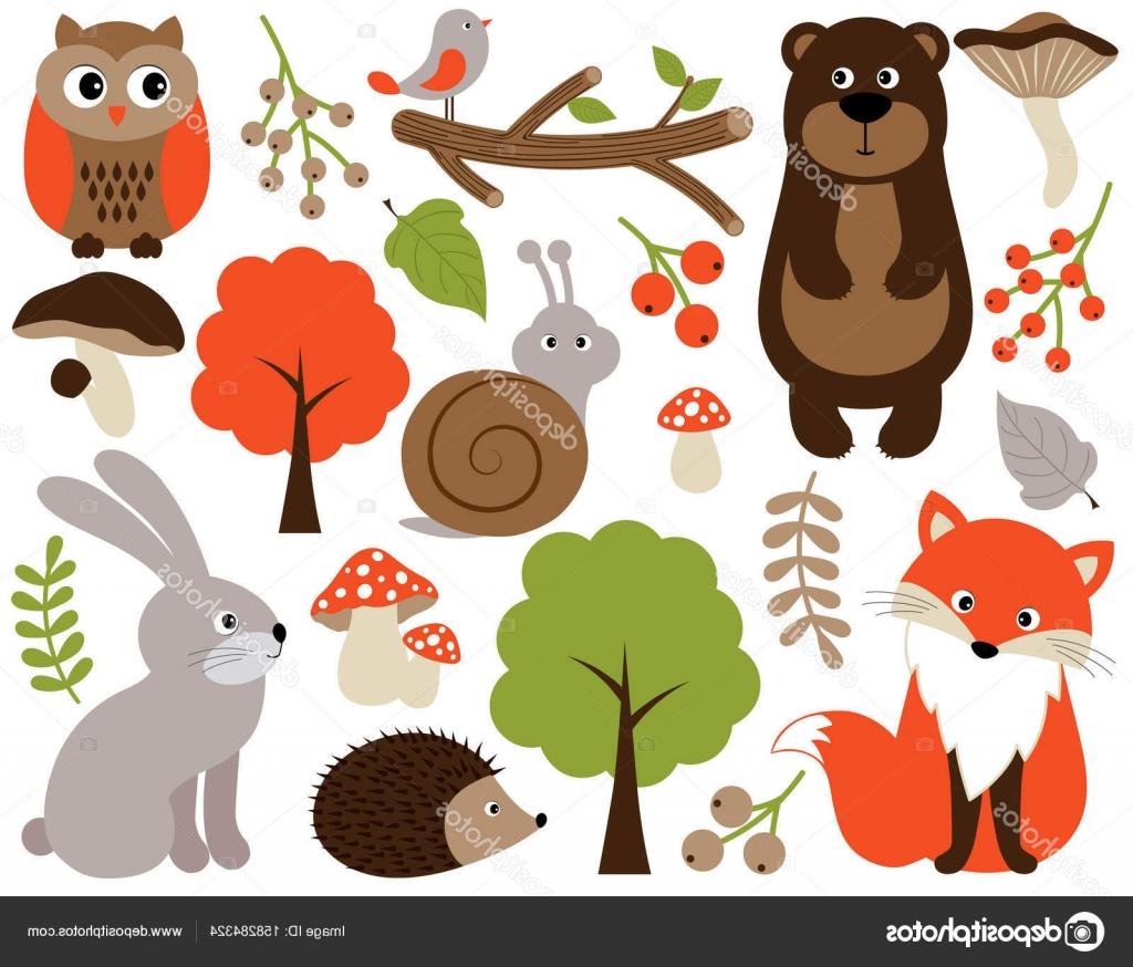 Woodland Animals Vector at Collection of Woodland