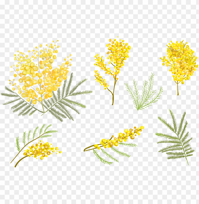 Yellow Flower Vector at Collection of Yellow Flower