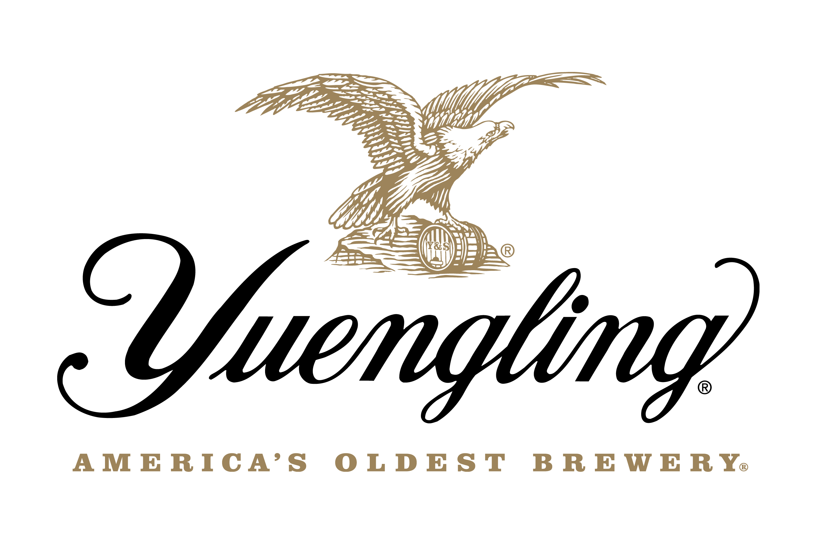 Yuengling Logo Vector at Collection of Yuengling Logo