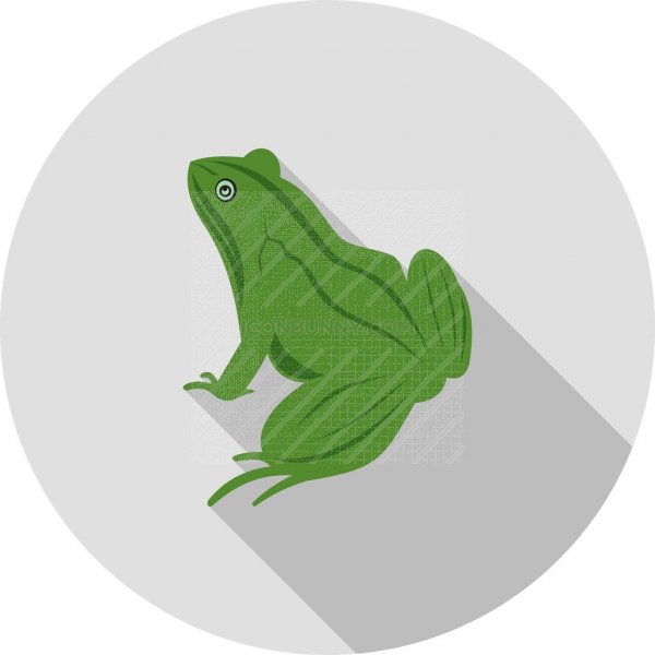 Frog Icon at Collection of Frog Icon free for