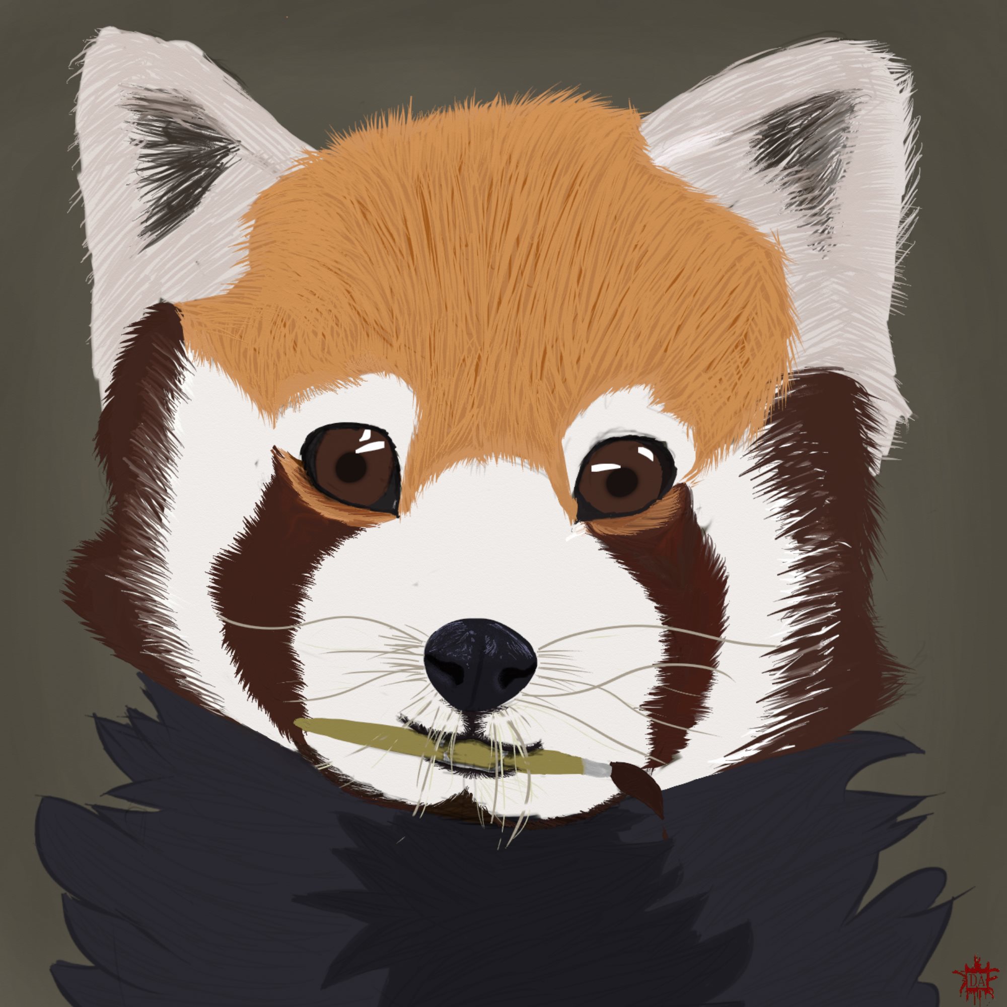 Red Panda Icon at Collection of Red Panda Icon free