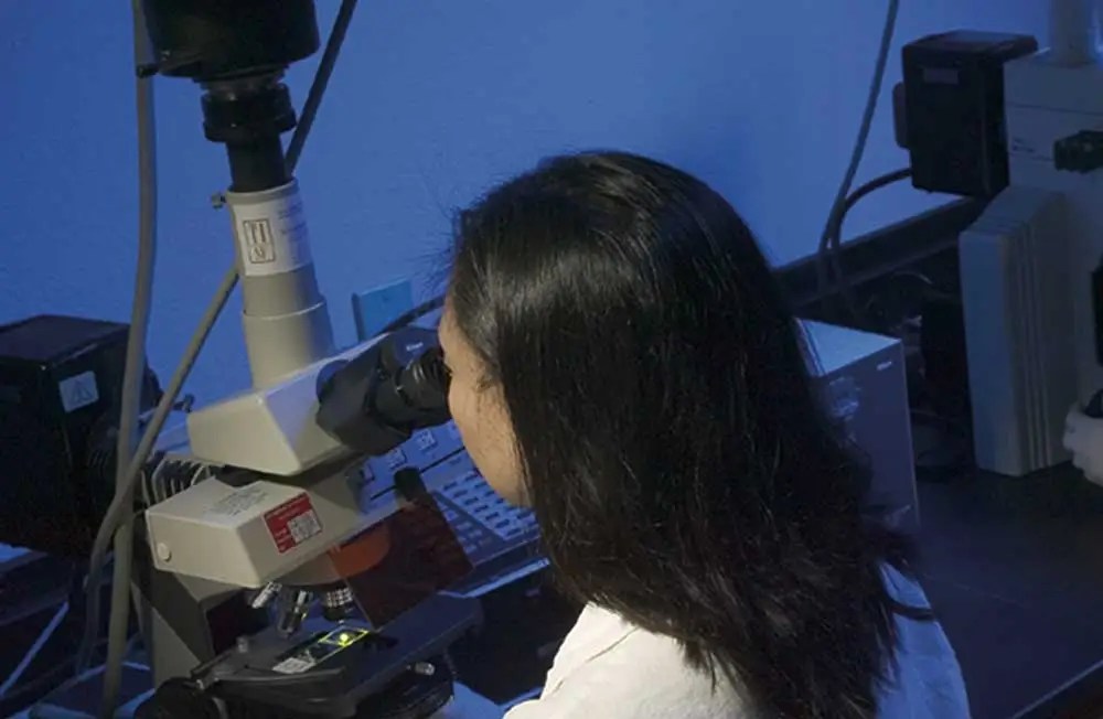 Unmasking Epitopes Using Antigen Retrieval for FormalinFixed Tissue