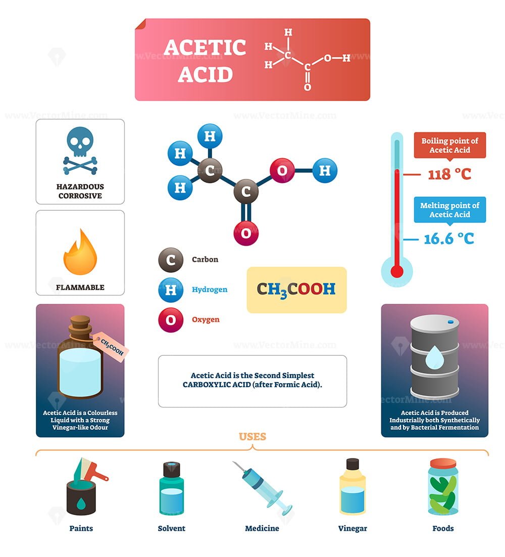 Acetic acid vector illustration - VectorMine