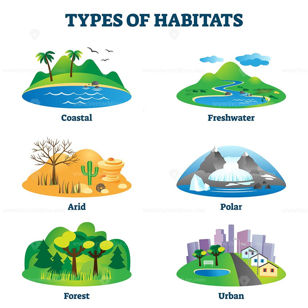 Types of habitats vector illustration VectorMine