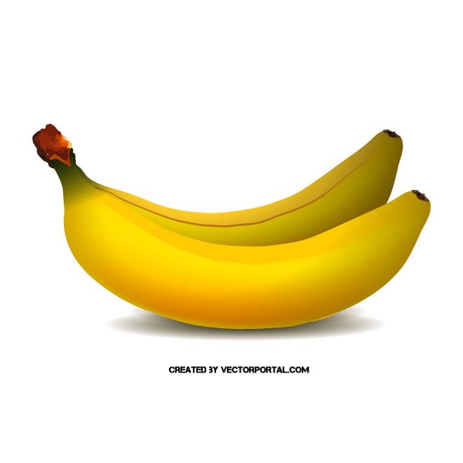 Bananas graphics.ai Royalty Free Stock SVG Vector
