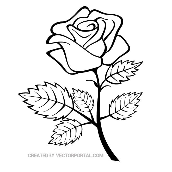Rose outline image.ai Royalty Free Stock SVG Vector