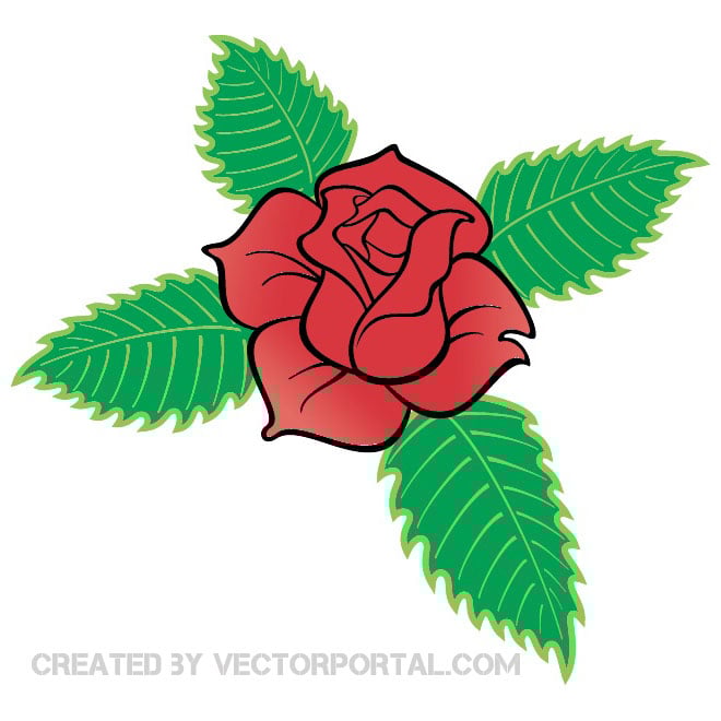 Rose flower Royalty Free Stock SVG Vector