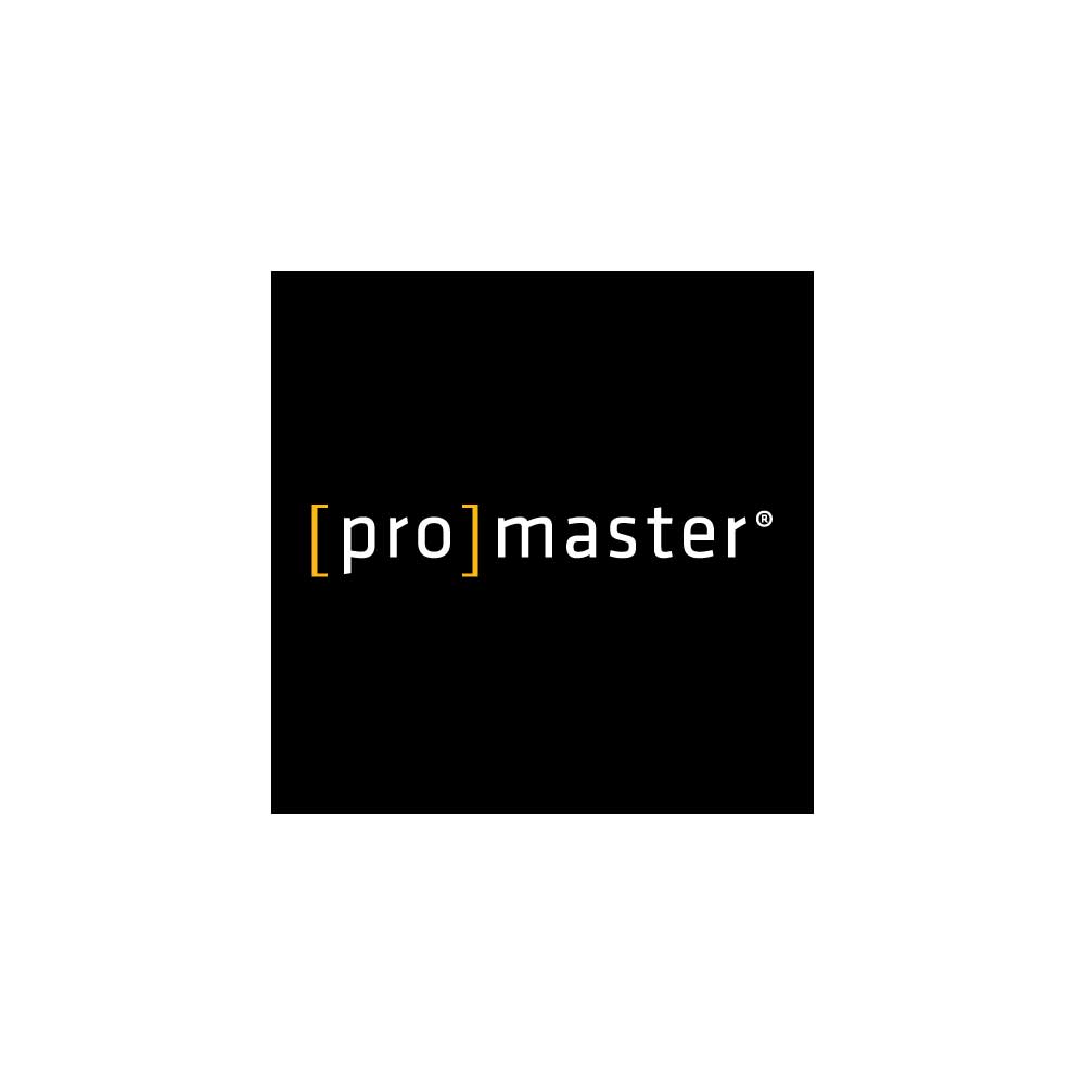 Promaster Logo Vector (.Ai .PNG .SVG .EPS Free Download)