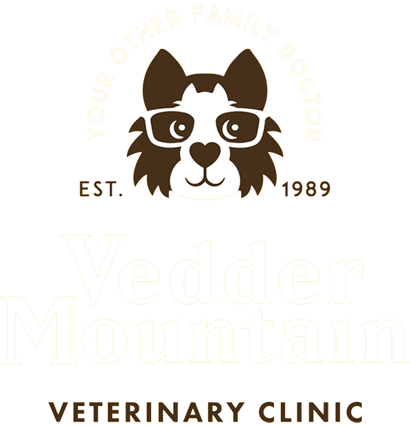 Veterinarian Chilliwack, Sardis Vedder Mountain Veterinary Clinic