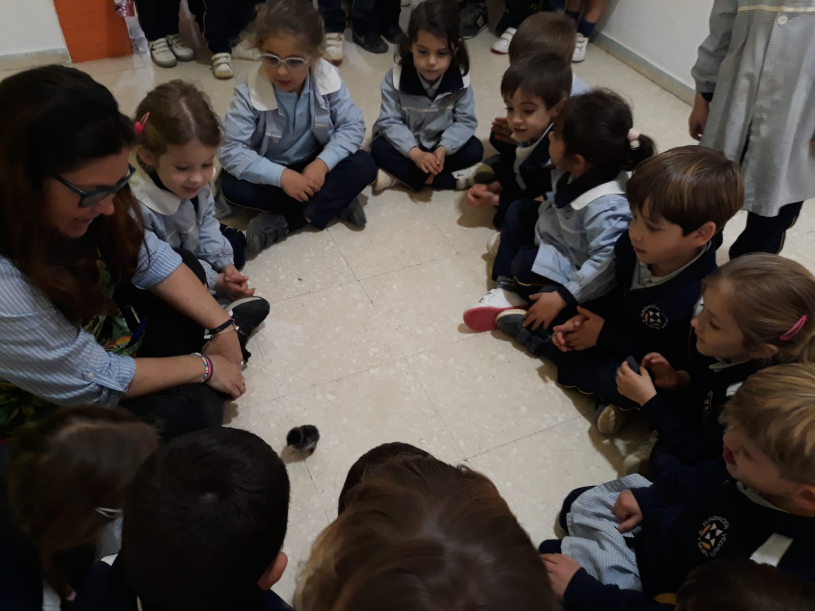 Galería Fotos Infantil Colegio Santa Joaquina de Vedruna