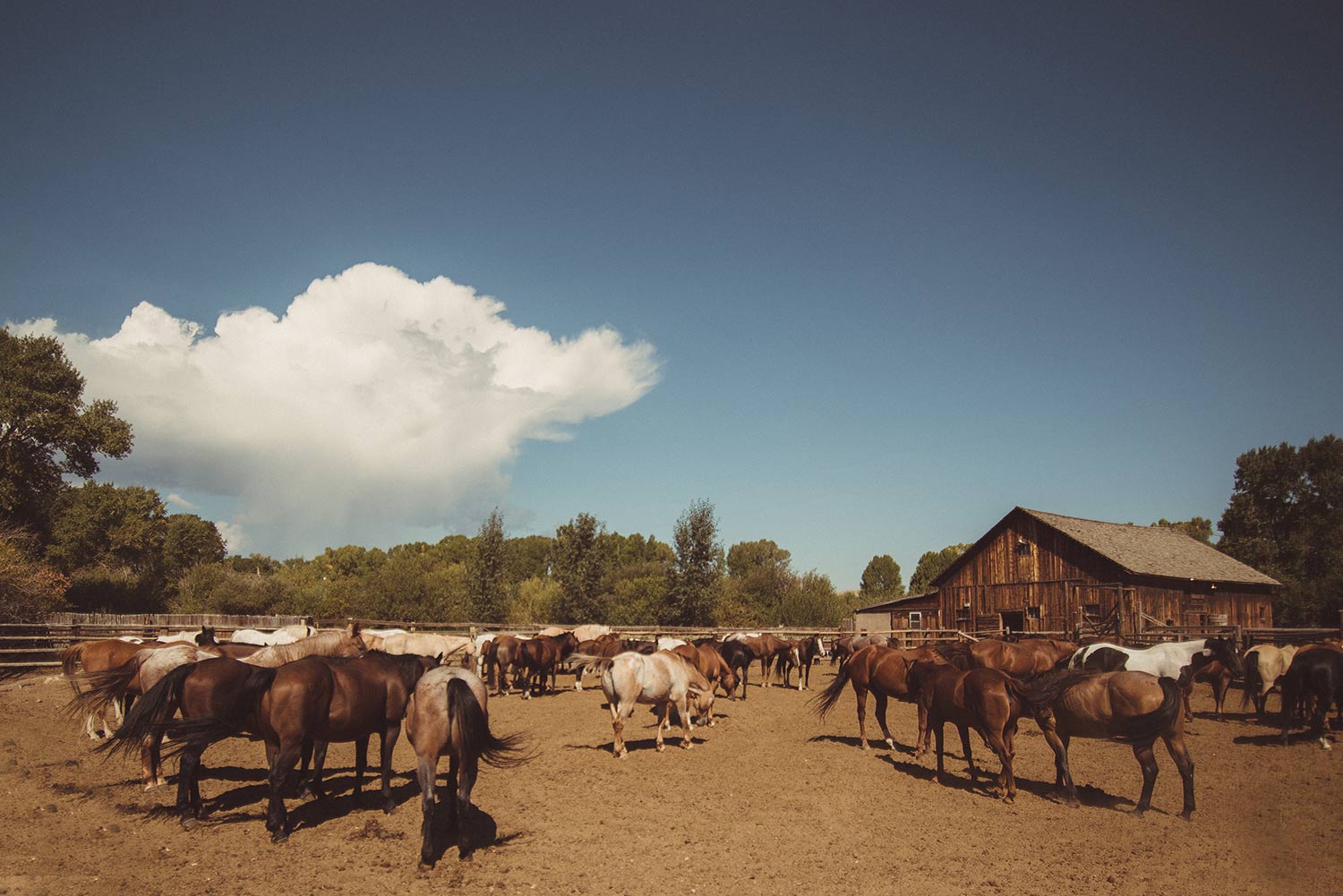 Wyoming Dude Ranch Jobs, Summer & Winter Vee Bar Guest Ranch