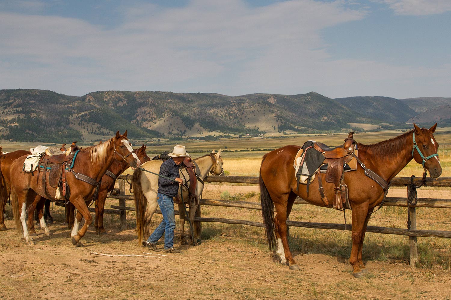 Wyoming Dude Ranch Jobs, Summer & Winter Vee Bar Guest Ranch