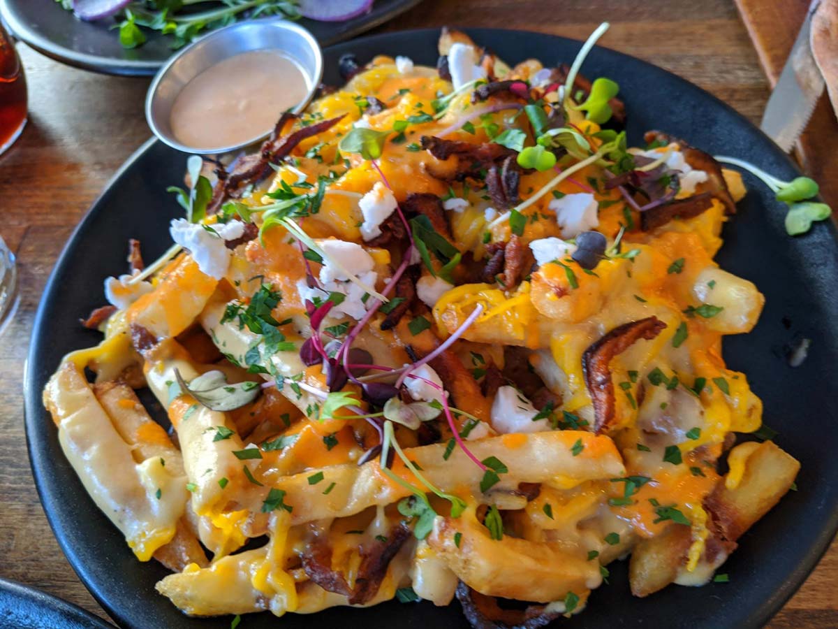 Why Go Vegan? The top reasons explained