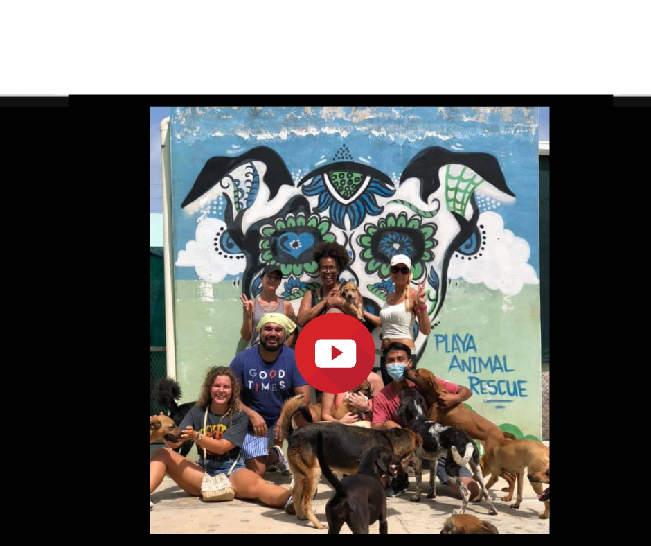 Jacobs Ridge Animal Sanctuary Julian Jacobs Ridge Animal Sanctuary